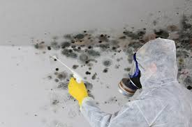 Best Air Quality Testing for Mold Spores  in Lindale, GA